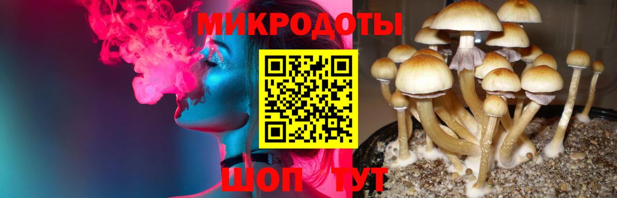 Армавир  Галлюциногенные грибы Cubensis  Вход с VPN 